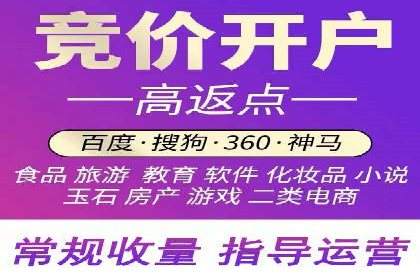 成功SEM托管案例：流量与转化双赢